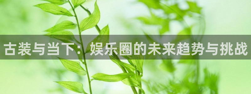 顺盈娱乐：古装与当下：娱乐圈的未来趋势与挑战