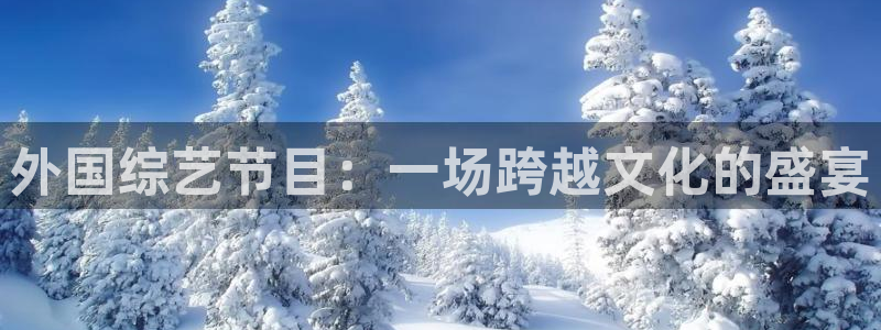 顺盈娱乐：外国综艺节目：一场跨越文化的盛宴