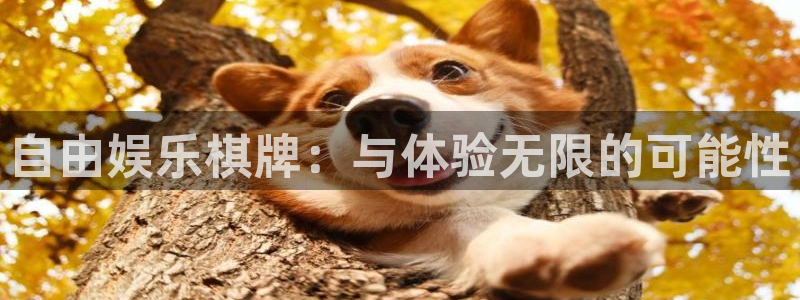 顺盈娱乐：自由娱乐棋牌：与体验无限的可能性