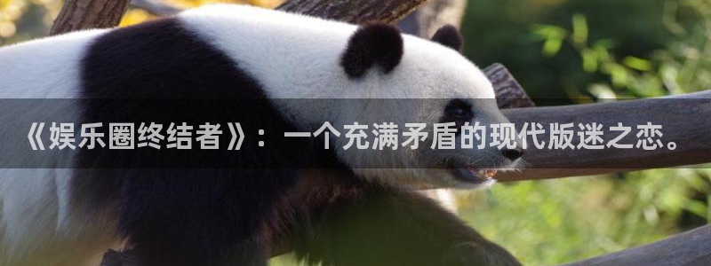 顺盈娱乐：《娱乐圈终结者》：一个充满矛盾的现代版迷之恋。