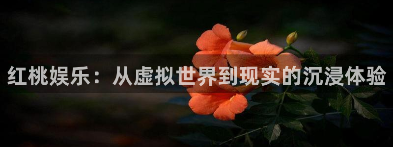 顺盈娱乐：红桃娱乐：从虚拟世界到现实的沉浸体验
