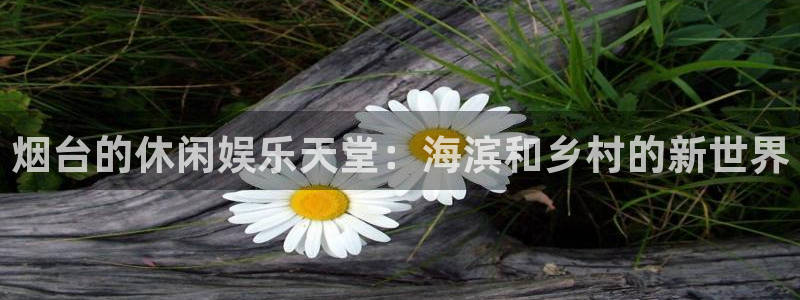 顺盈娱乐：烟台的休闲娱乐天堂：海滨和乡村的新世界