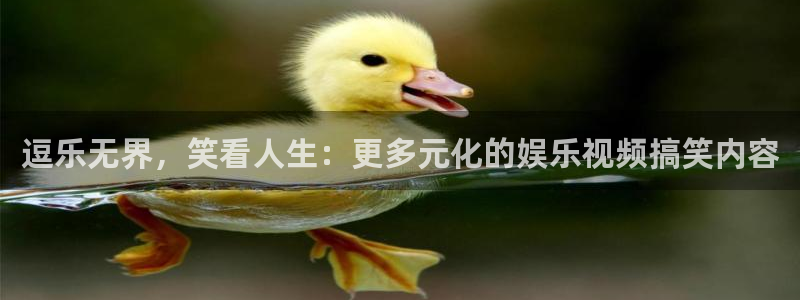 顺盈娱乐：逗乐无界，笑看人生：更多元化的娱乐视频搞笑内容