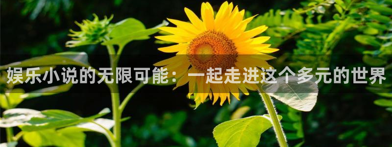 upload/20250701114914.jpg