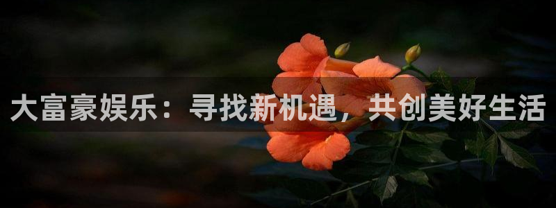 upload/20250701114914.jpg